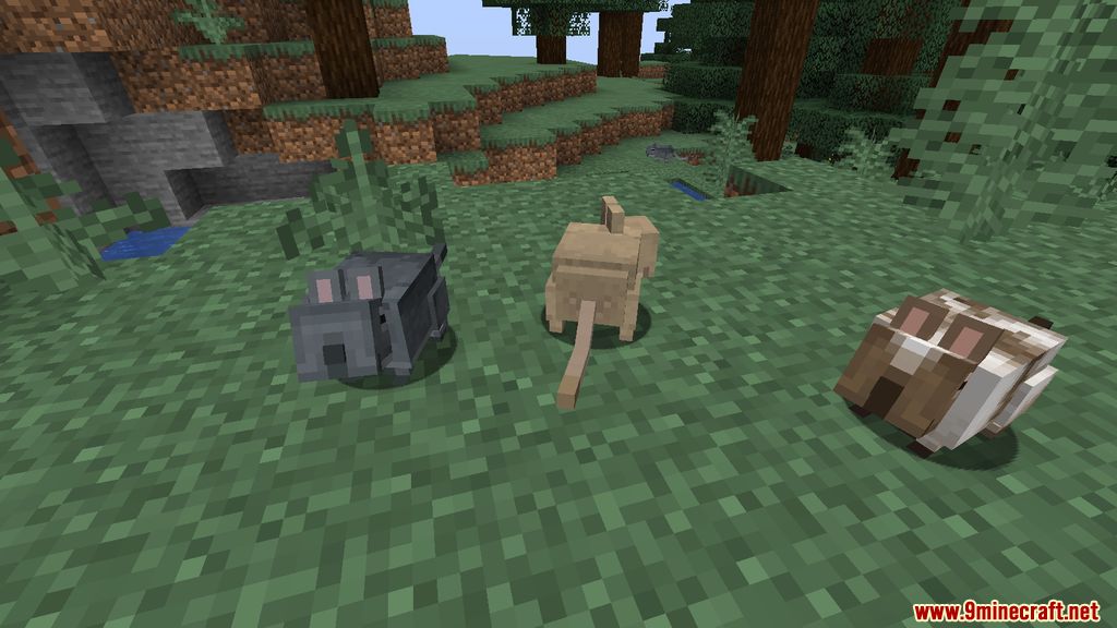 Vanilla Degus Mod Screenshots 1