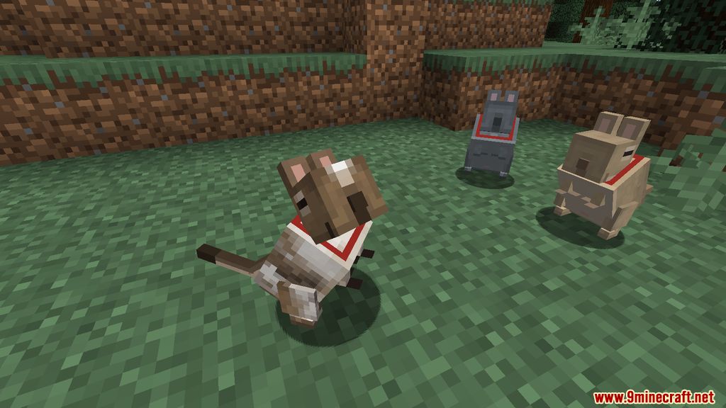 Vanilla Degus Mod Screenshots 4
