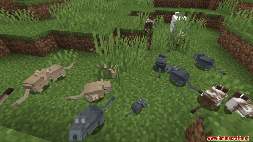 Vanilla Degus Mod Screenshots 6