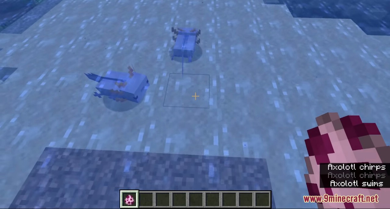 How to get blue axolotls in Minecraft 1.17 version