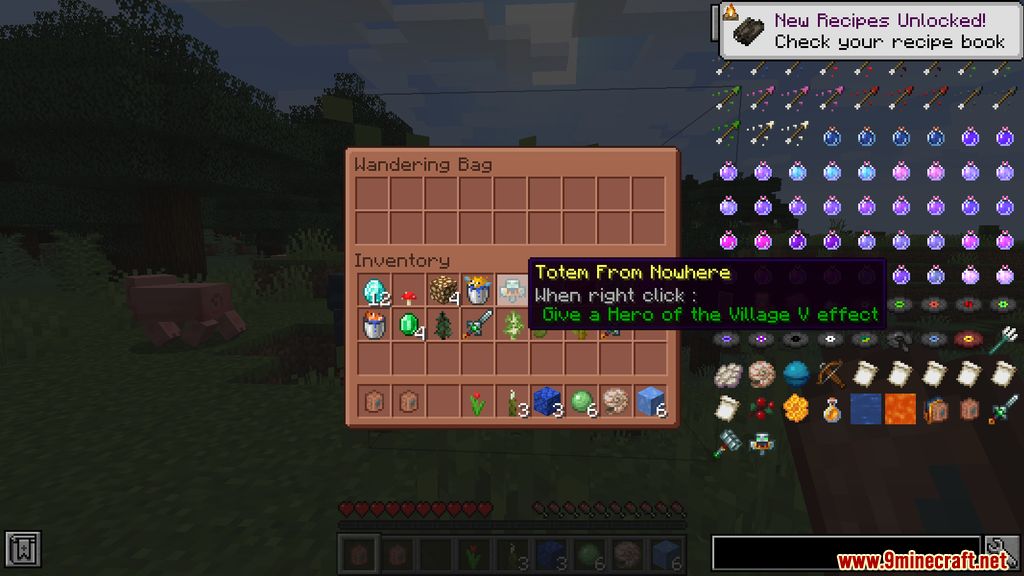 Wandering Bag Mod Screenshots 2