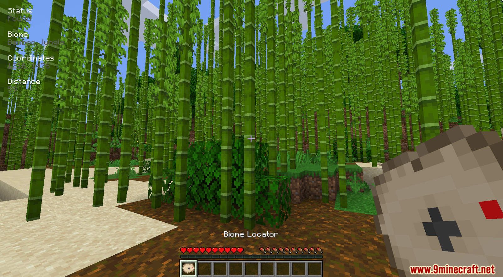 Biome Locator mod for Minecraft (12)