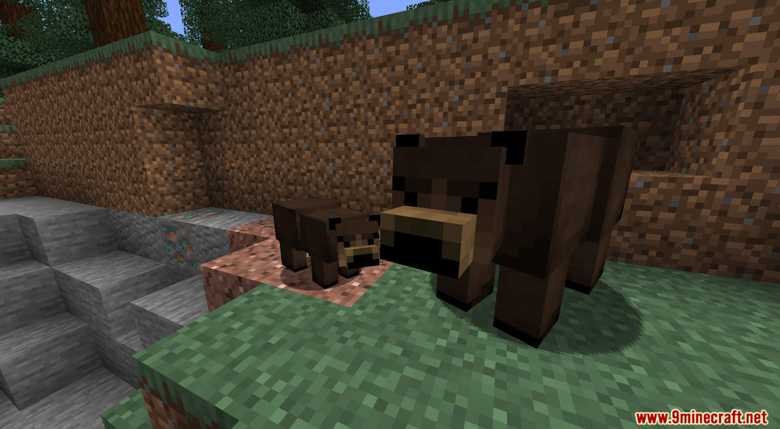 Grizzly Bear mod for Minecraft (5)