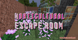 Horticultural Escape Room Map