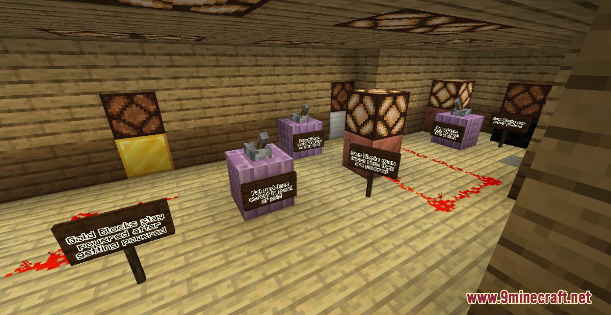 Minigame Gameshow Screenshots (3)