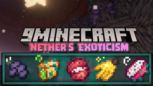 Nether’s Exoticism Mod