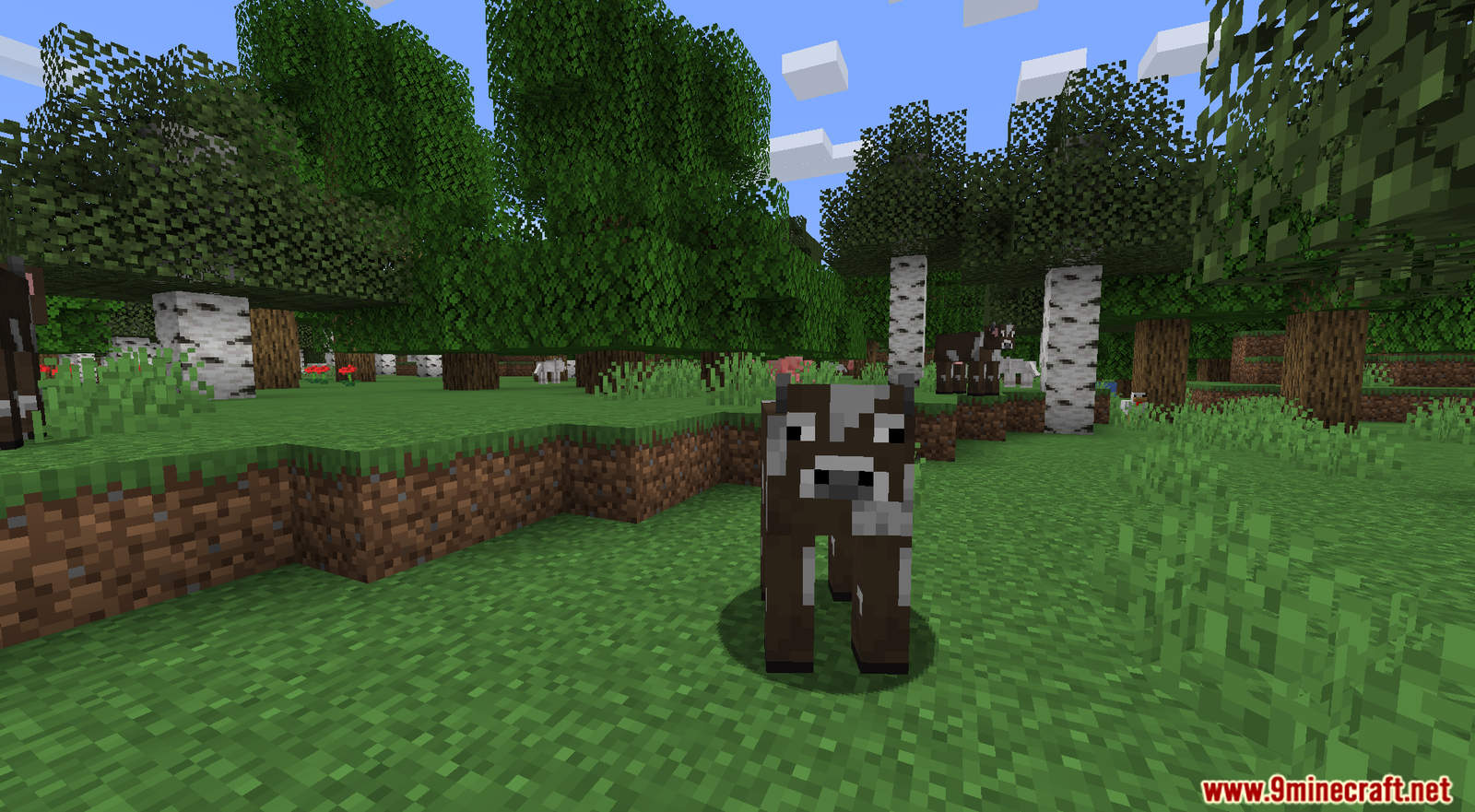 Salutem Mod for Minecraft (3)