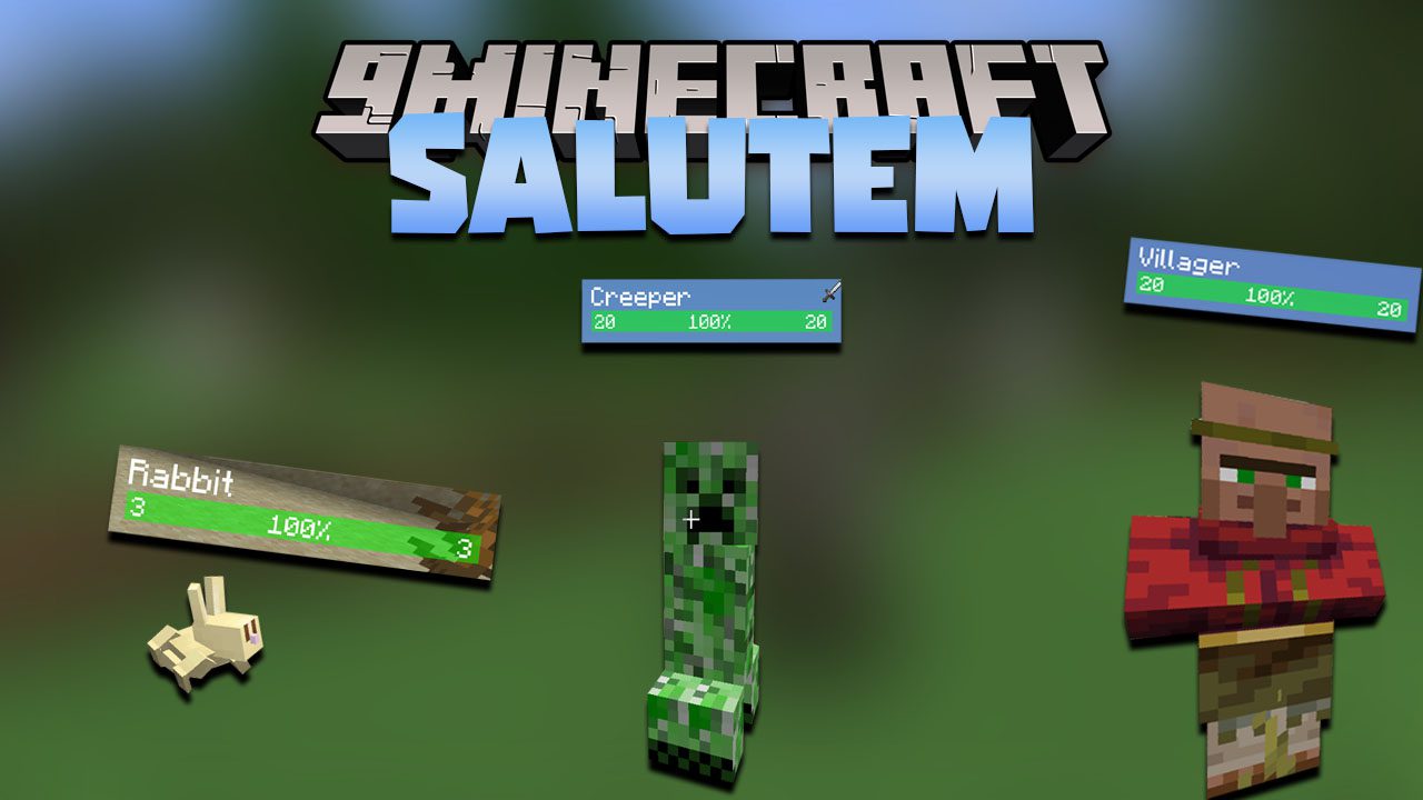 Salutem Mod 1 17 1 Floating Health Bar 9minecraft Net