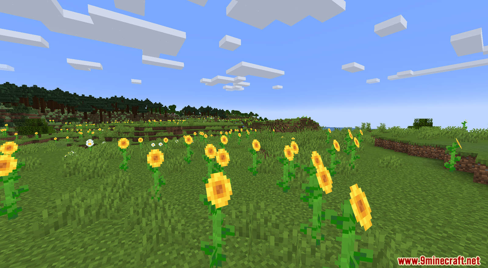 Sensible Biomes Data Pack Screenshots (1)