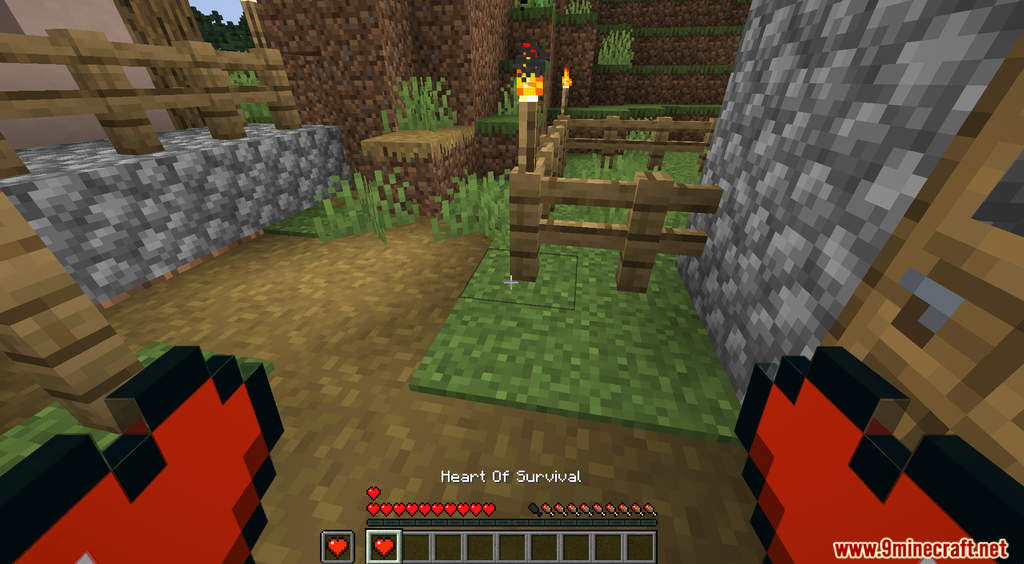 Lifesteal SMP Data Pack Screenshots (6)