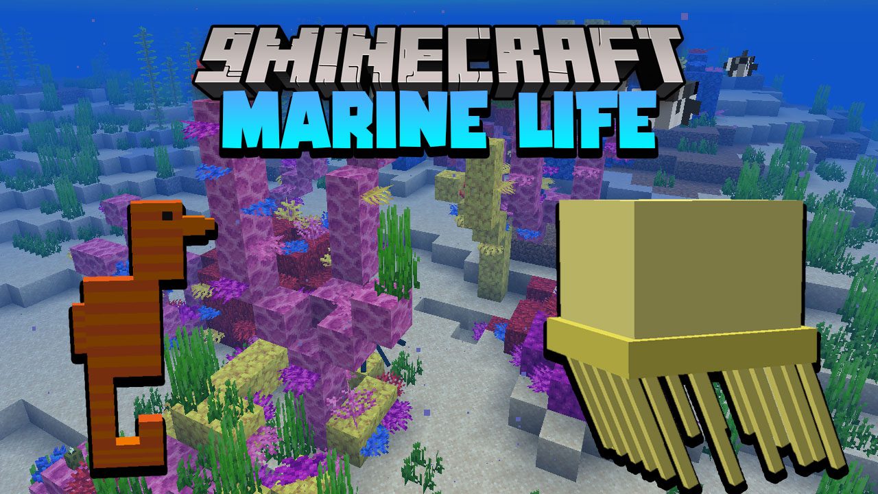 Marine Life Data Pack Thumbnail