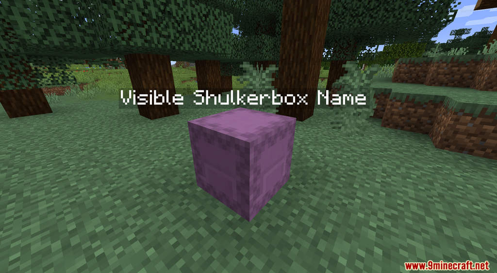 Visible Shulkerbox Name Data Pack Screenshots (4)