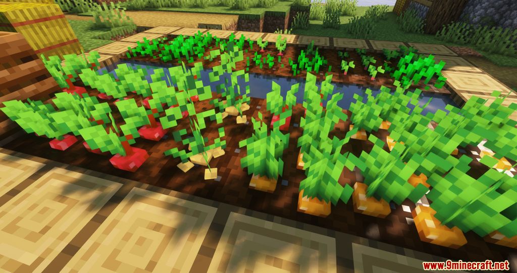 Crops 3D resourcepacks screenshots 03