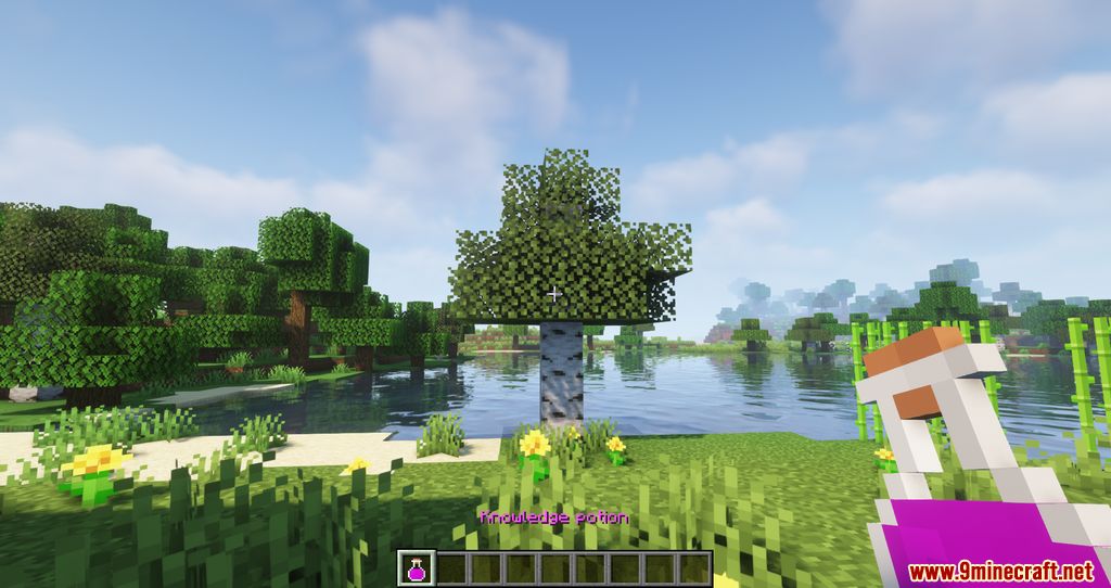 Potion insanity mod screenshots 03