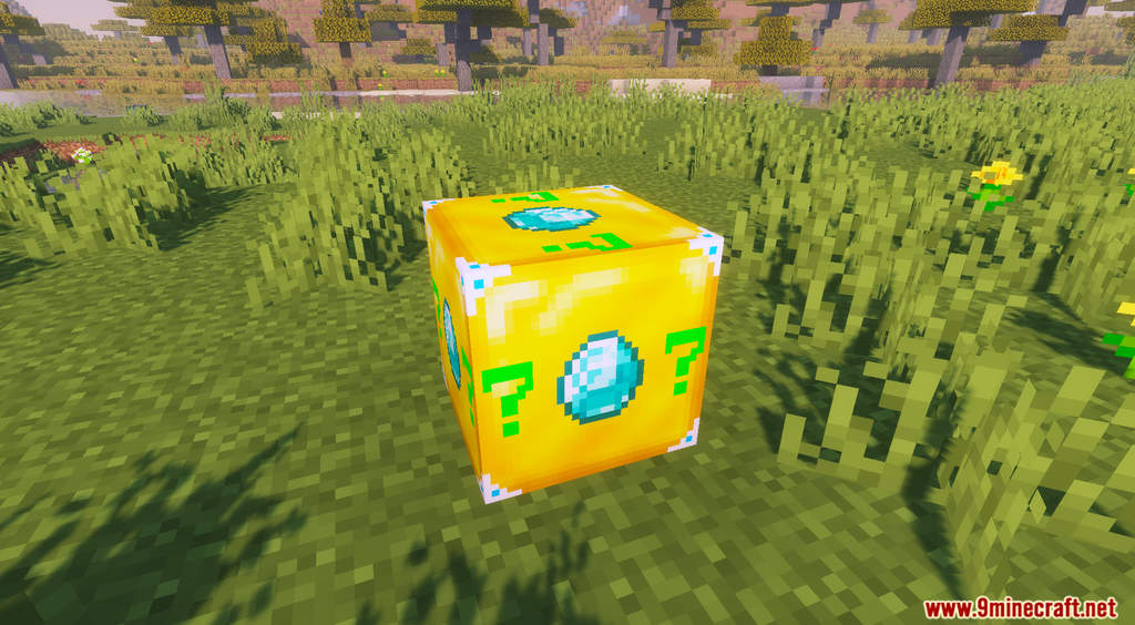 Vixiem Lucky Block Data Pack Screenshots (2)