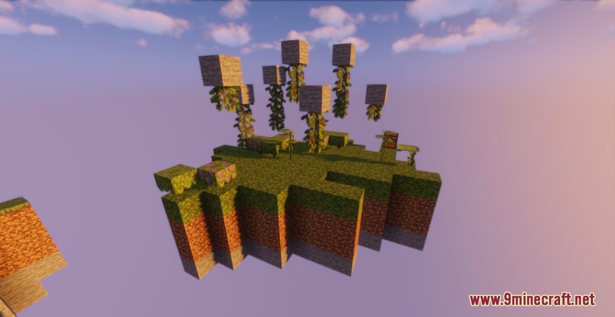 Epic Biomes SkyBlock Screenshots (2)