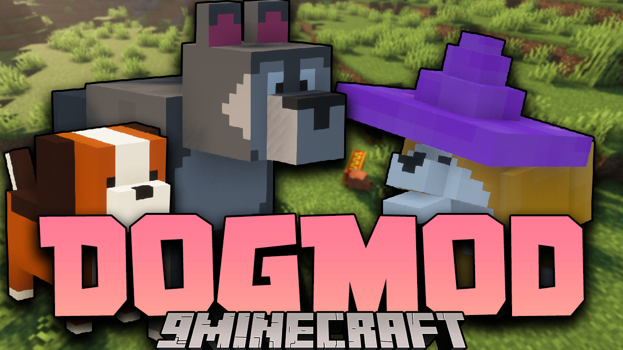 Dog Mod 1 16 5 New Variants Of A Beloved Companion 9minecraft Net