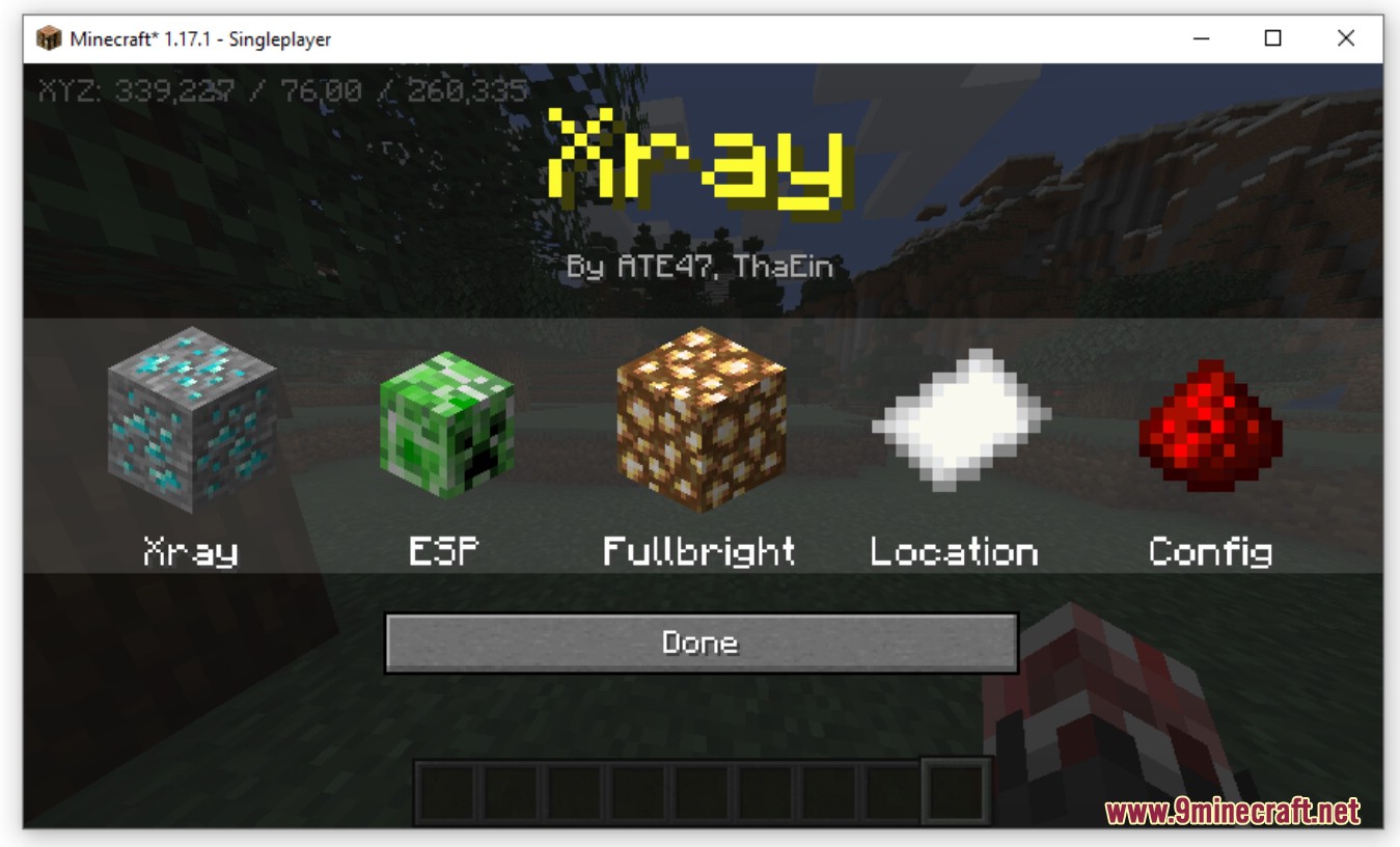 XRay Texture Pack 1.16.5 - How to Get XRay in Minecraft 1.16.5 