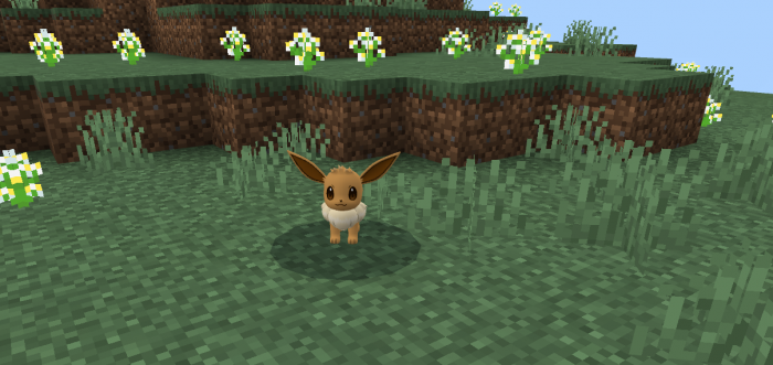 Pixelmon Eevee