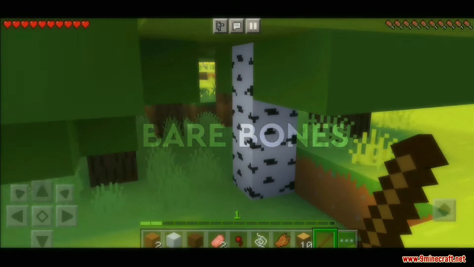 Bare Bones Texture Pack (1.19, 1.18) for MCPE/Bedrock Edition 