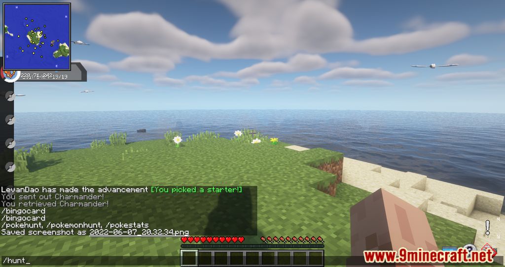I made a Pixelmon 1.9.5 modpack and added shaders to enhance my experience.  However, it caused visual bugs (see first screenshot). Removing the shaders  helped a bit, but some issues persist (second
