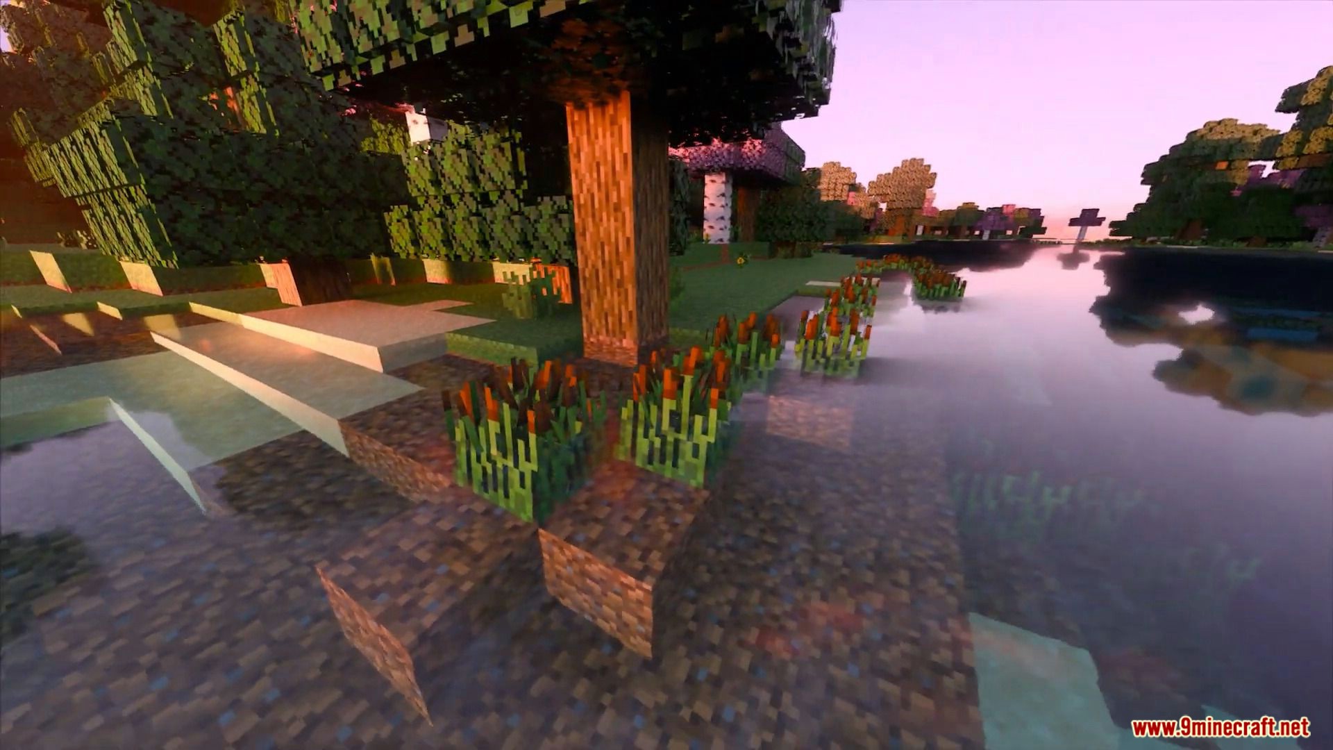 Minecraft Shaders with Ray Tracing : r/Optifine