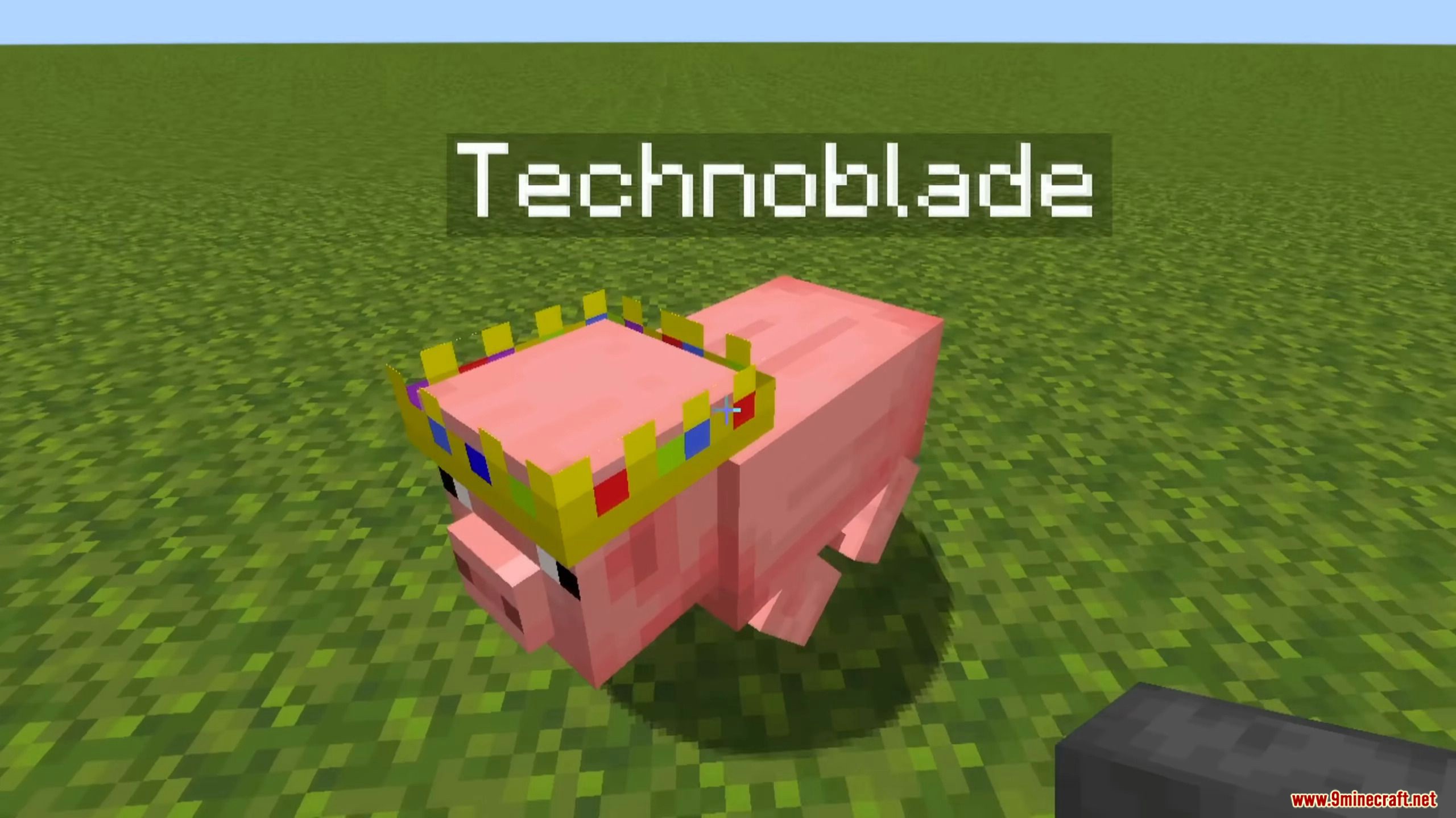 Minecraft 1.19 how to download and use Technoblade's skin