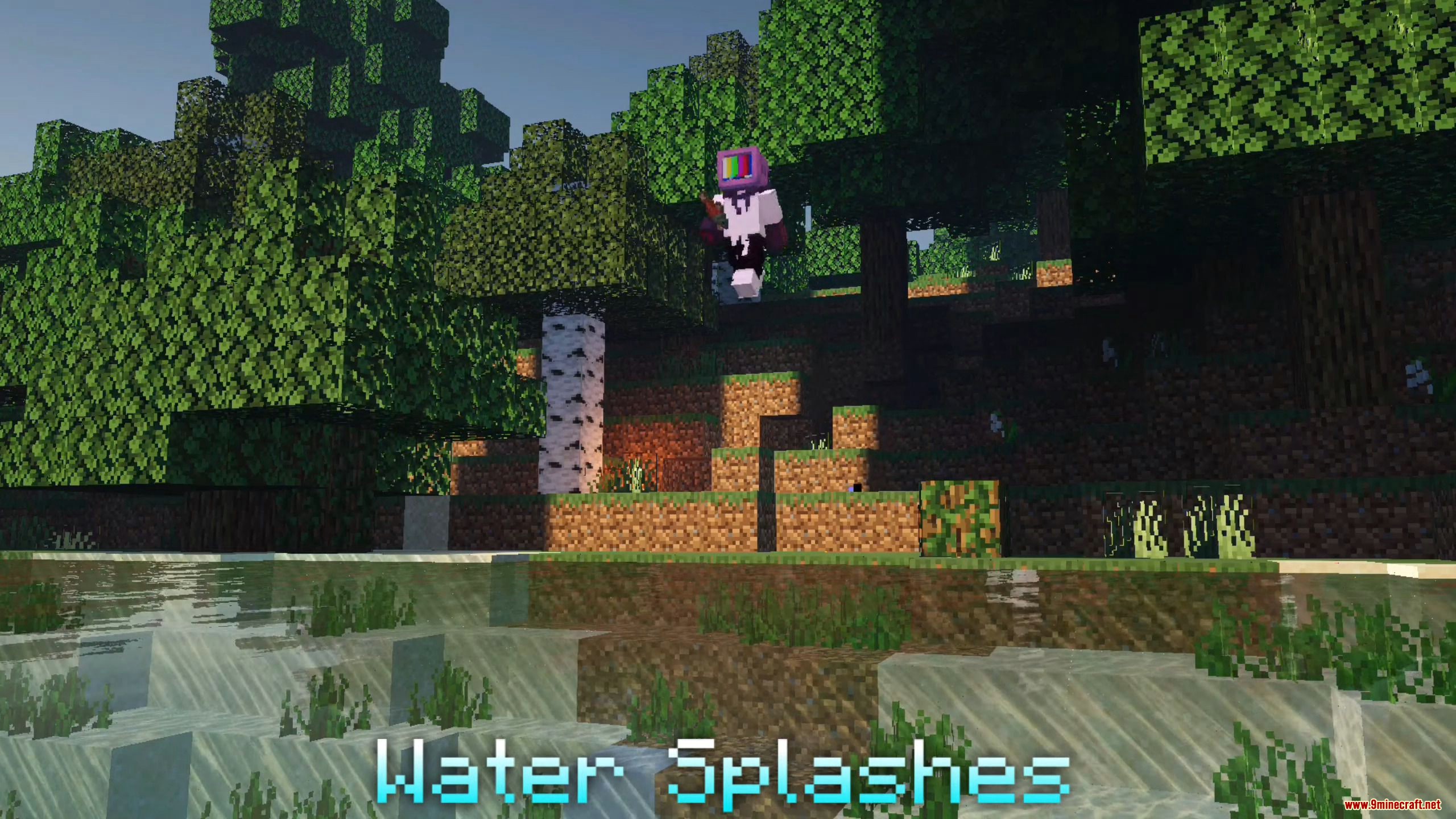 Splash - Minecraft Wiki