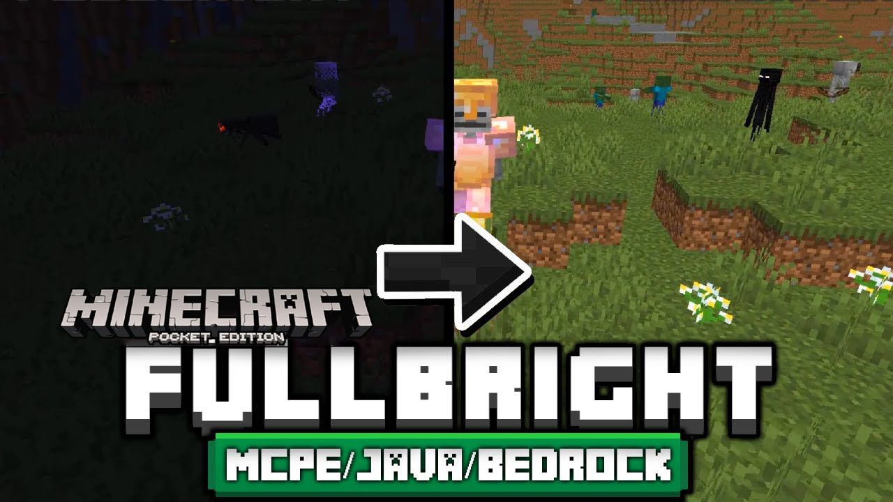 Minecraft Education 1.19.50.0 - Minecraft Wiki