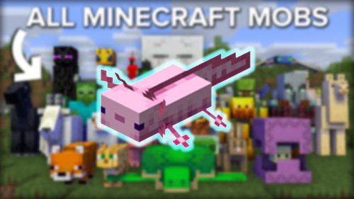 Skins, Minecraft Bedrock Wiki