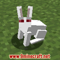 Rabbit - Minecraft Guide - IGN