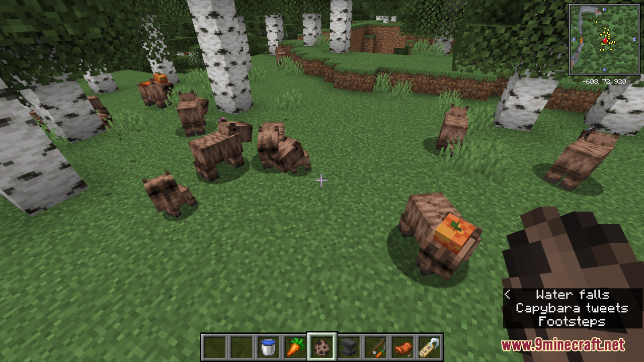 Capybara!3.0 by ThreadyPilot For Minecraft Mods