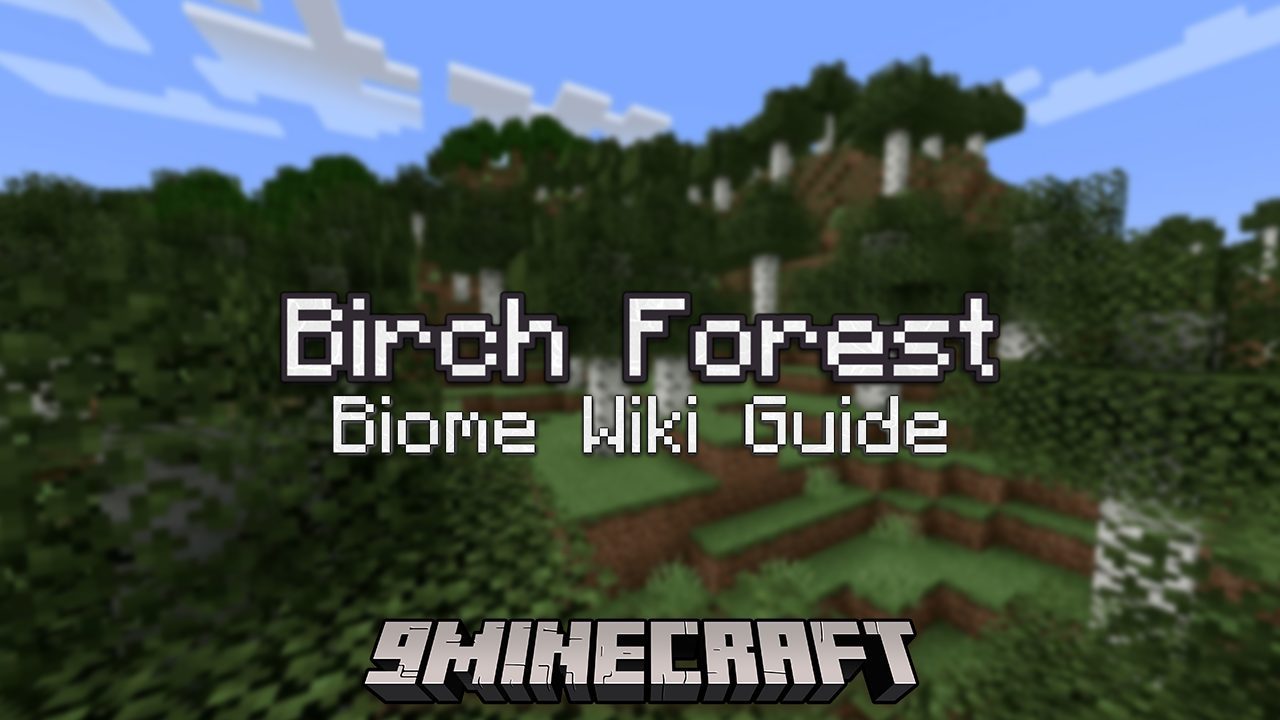 Birch Forest Biome - Wiki Guide - 9Minecraft.Net