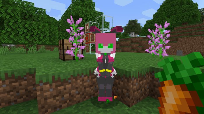 45625w's Bedrock Skin Pack V1.6 Minecraft Mod