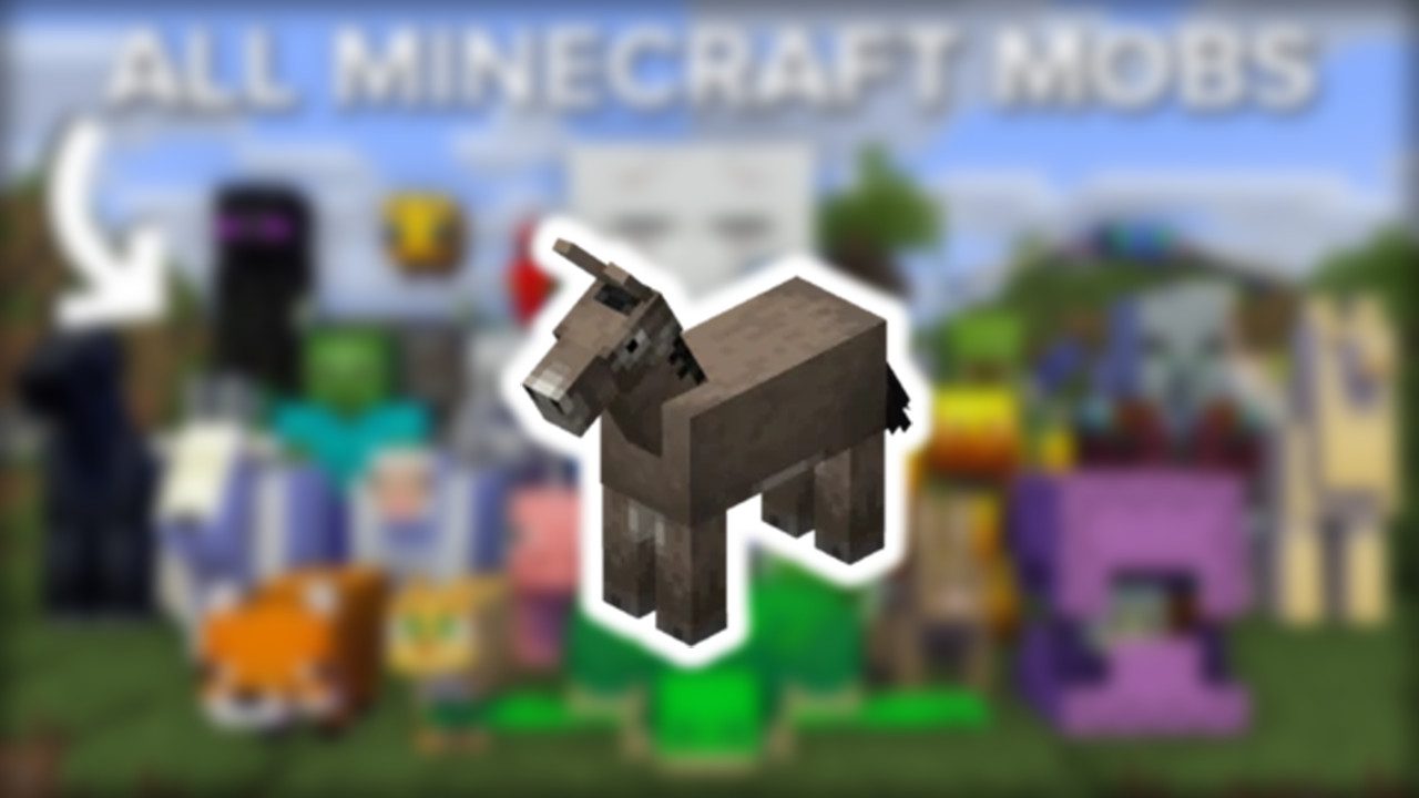 Donkey Mob Wiki Guide