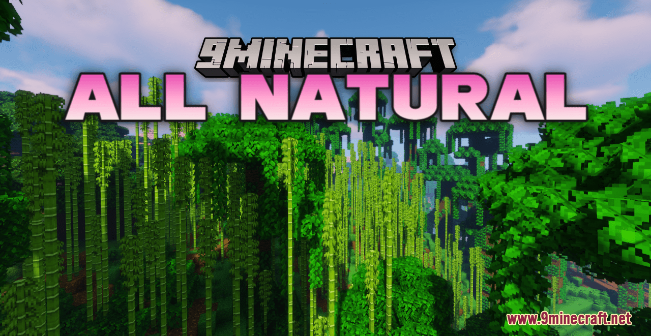 Comprar o Pacote de Texturas Naturais do Minecraft