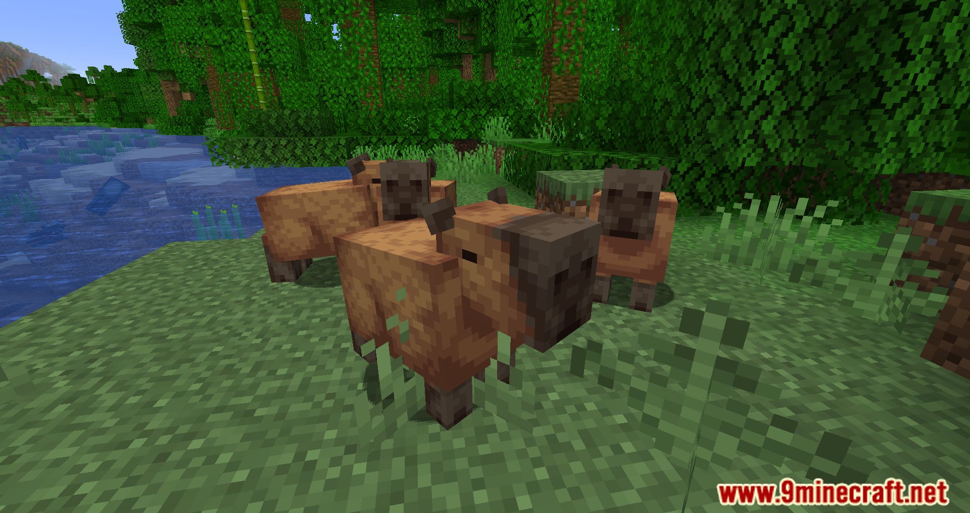 minecraft #minecraftmod #capivara #capivarinha #fyyyyyyyyyyyyyyyy #va