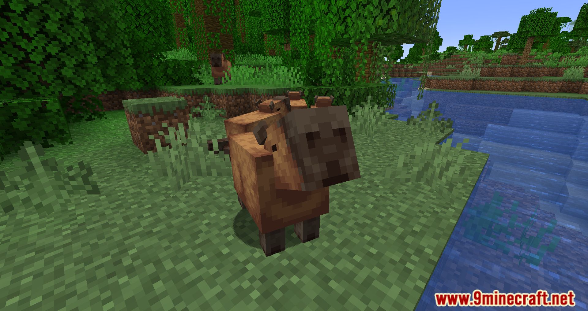 1.20.x] Capybara Mod v1.2 - [FABRIC] Capybara