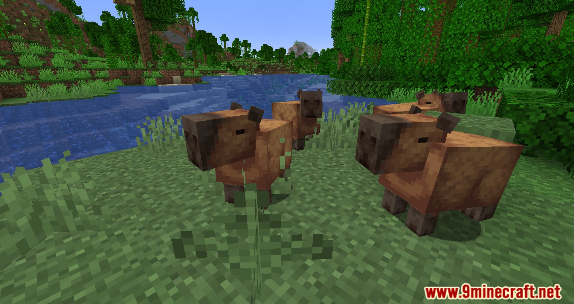 1.20.x] Capybara Mod v1.2 - [FABRIC] Capybara