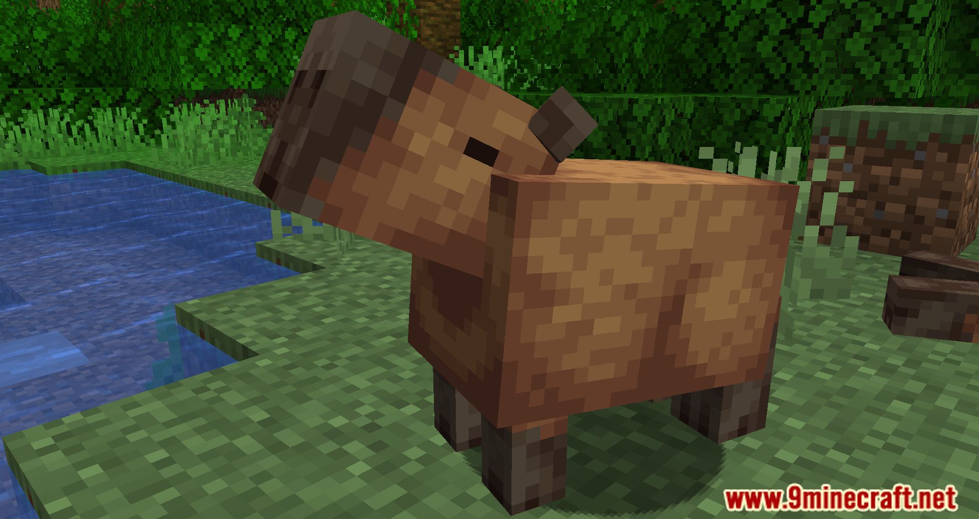 Capybara in Minecraft