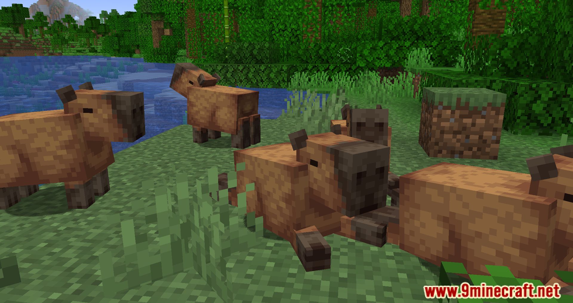 Capybara in Minecraft