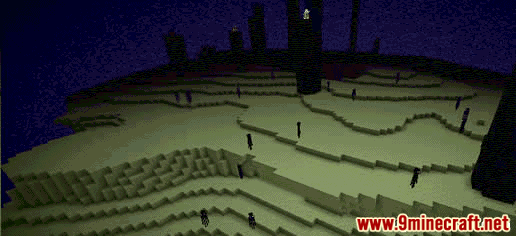 The End (biome) – Minecraft Wiki