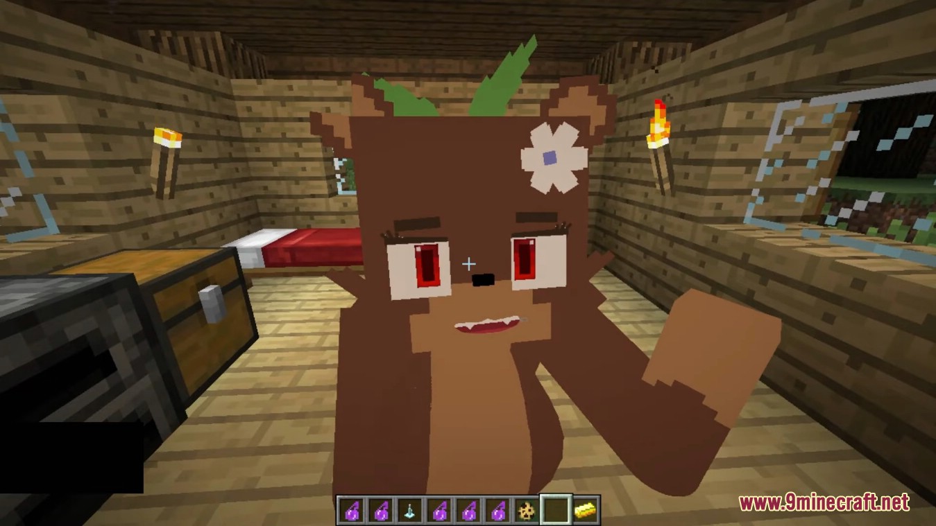 Minecraft Adult Mod