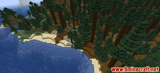 Old Growth Spruce Taiga Biome - Wiki Guide 