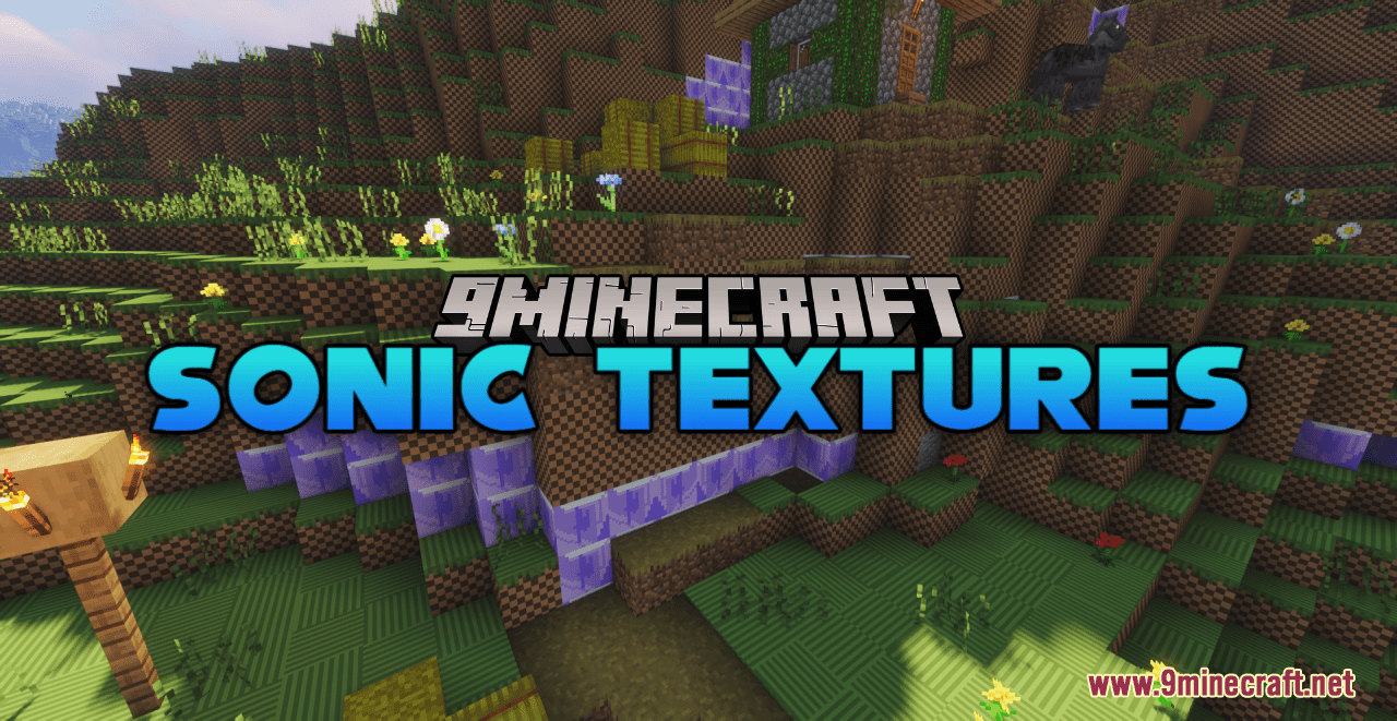 Sonic the Hedgehog Resource Pack 1.16 / 1.15