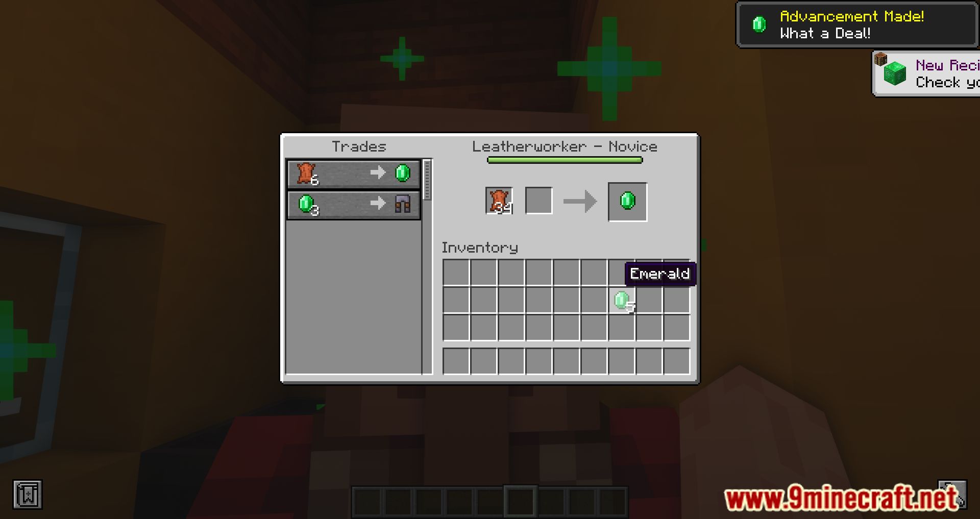 Leatherworker Minecraft: Trades & Features 