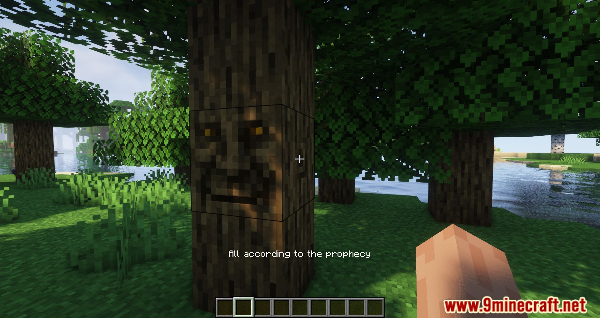 Wise Oak Tree  Resourcepack Minecraft Texture Pack