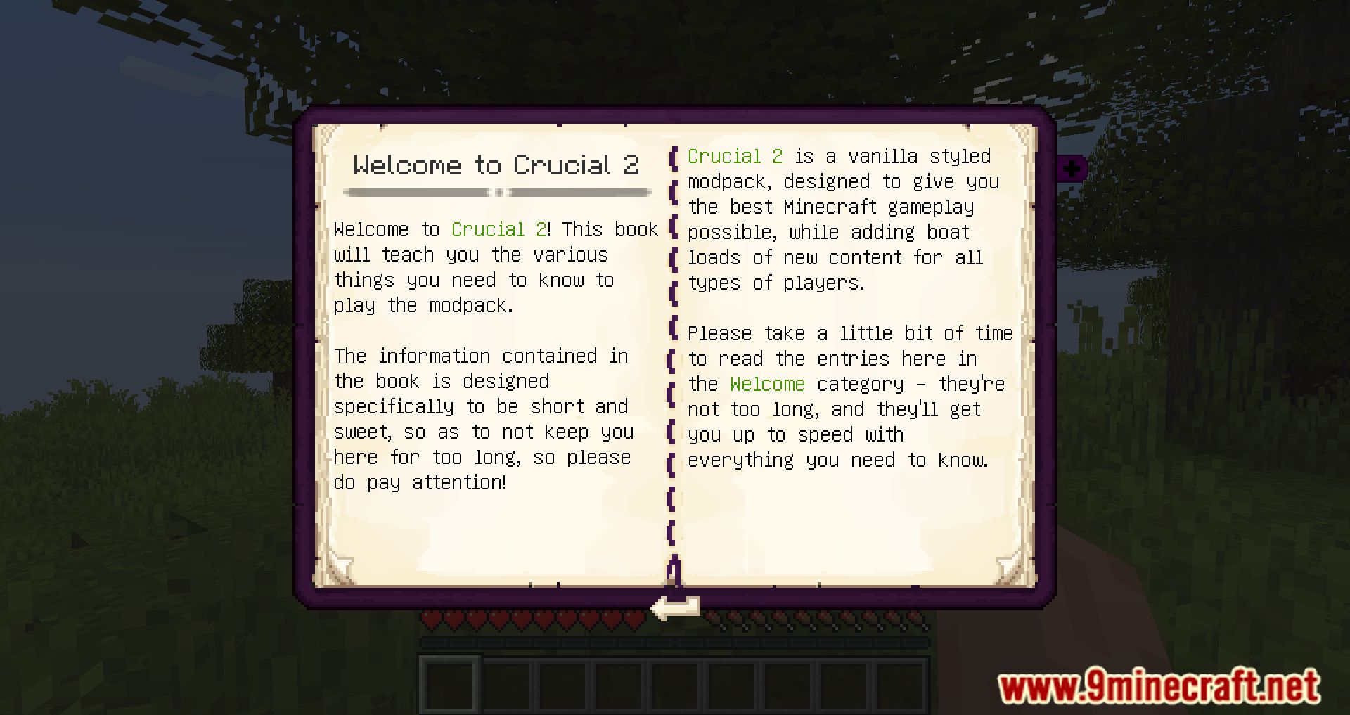 Crucial 2 Modpack (1.16.5) - A Whole New World 