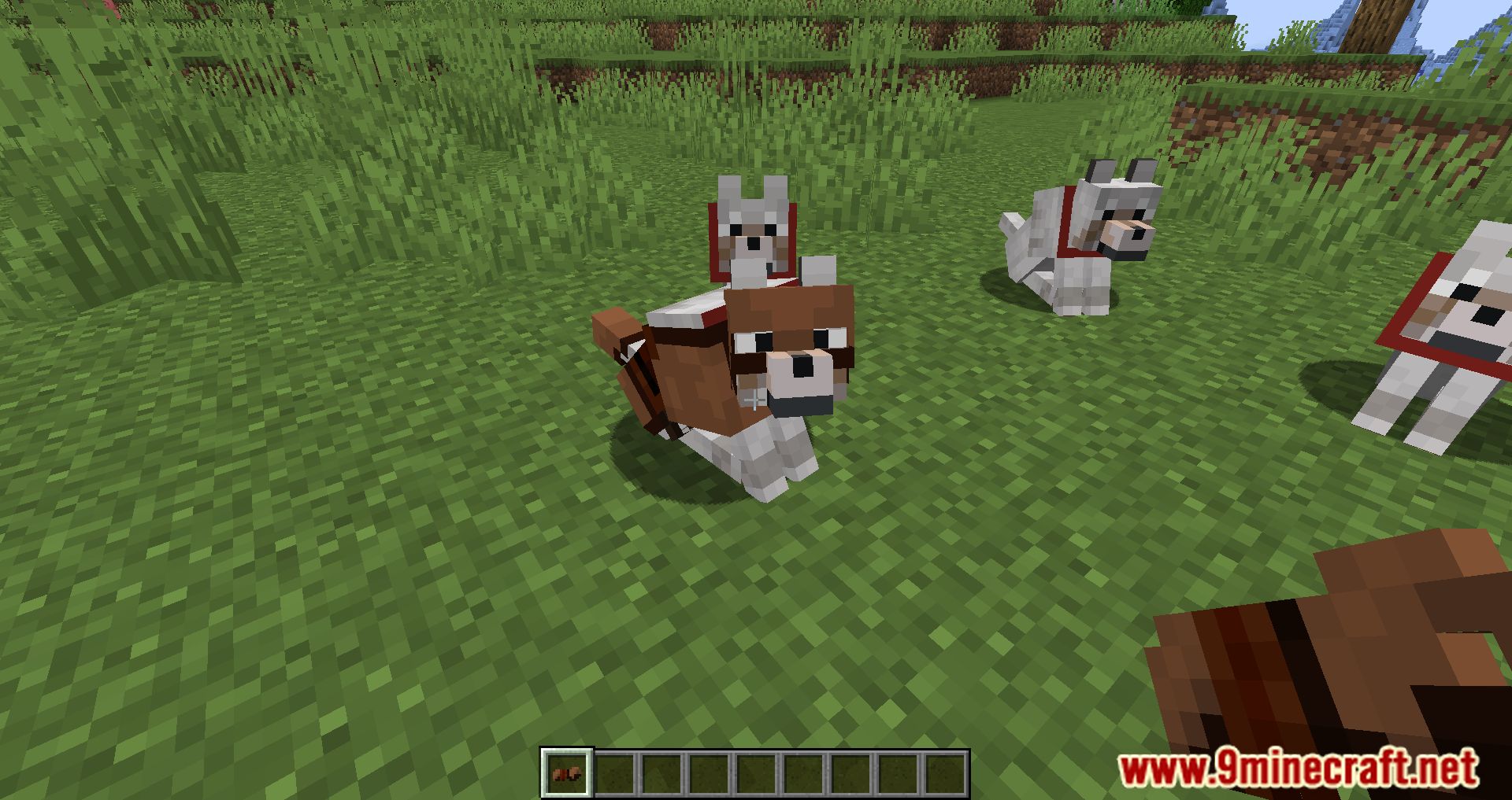 Wolf Armor Compat Mod (1.19.3, 1.18.2) - New Armor For Your Dog ...