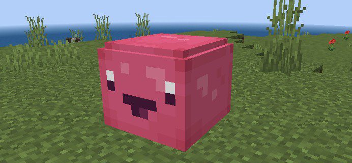 Slime Rancher Addon (1.19) - MCPE/Bedrock Mod 